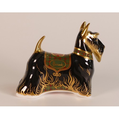 423 - Royal Crown Derby paperweight Harrods Scottish Terrier, 42/500, boxed, with cert.