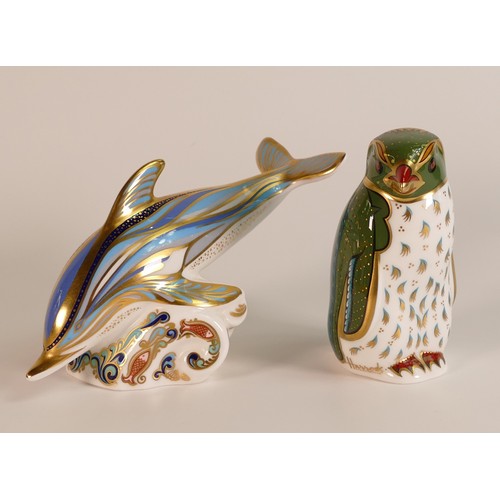 432 - Royal Crown Derby paperweights Dolphin and Rockhopper Penguin, gold stopper, boxed, with a cert. (2)