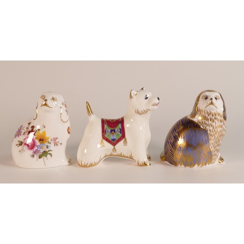 435 - Royal Crown Derby Paperweights King Charles Spaniel, West Highland Terrier and Posie paperweight The... 