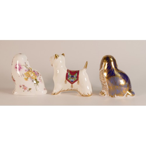 435 - Royal Crown Derby Paperweights King Charles Spaniel, West Highland Terrier and Posie paperweight The... 