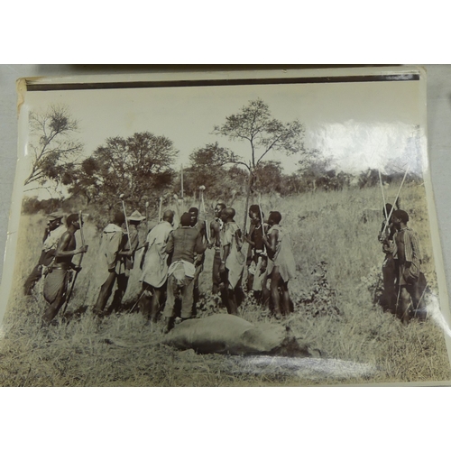 553 - Early 20th Century Original Photographs of an African Hunting Trip including images of Leopard, Kudu... 