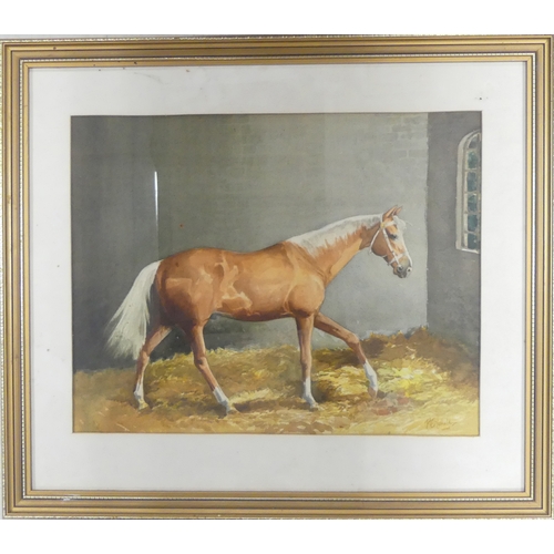 586 - P. E. Nicholl (English, 20th Century) Stable Portrait of Palomino Horse. Watercolour on paper. Frame... 