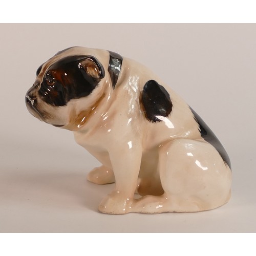 56 - Rare Royal Doulton seated Bulldog HN881. Circa 1940, h.7.5cm.