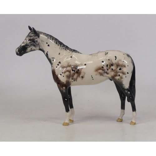 146 - Beswick Appaloosa Horse 1772