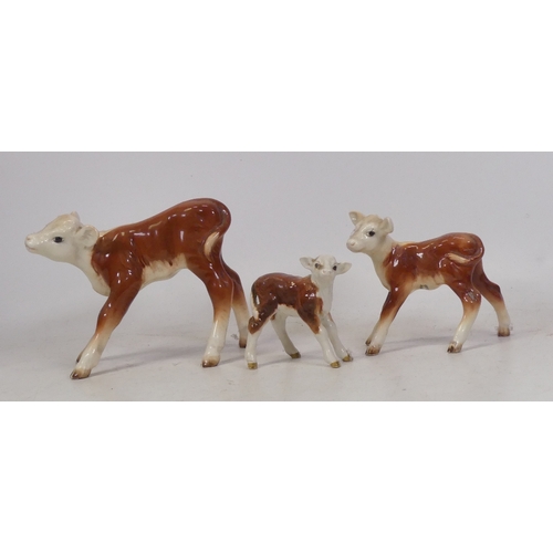 148 - Three Beswick Hereford calves to include 1406B , 854 and 901B (3)