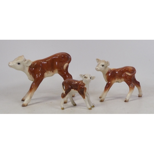 148 - Three Beswick Hereford calves to include 1406B , 854 and 901B (3)