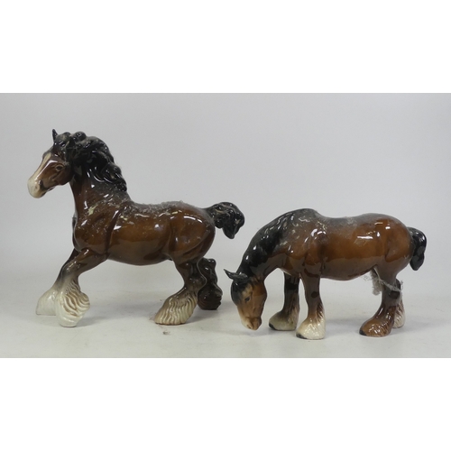 168 - Beswick Grazing shire together with Cantering shire (2)