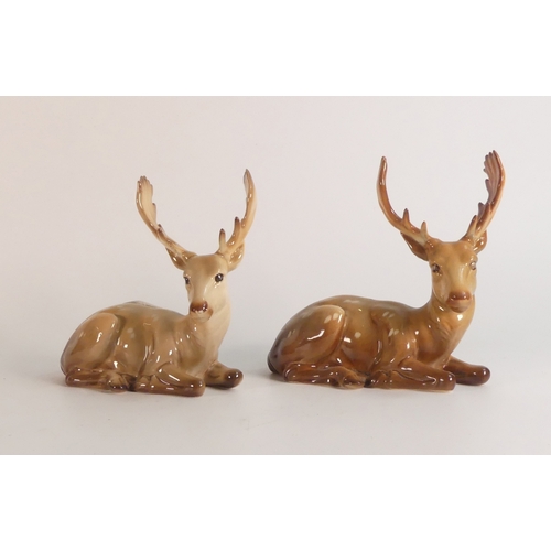 415 - Two Beswick Stags No. 954 (2)