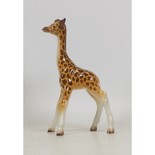 73 - Beswick Model of a young Giraffe 853