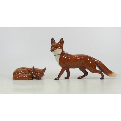 79 - Beswick, model of a standing fox 1016a together with curled fox 1017 (2)