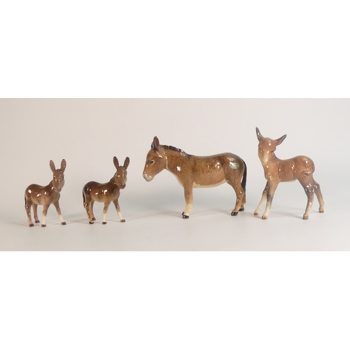 91 - Beswick Donkey 1364B, donkey foal 950, two donkey foals 2110 (4)