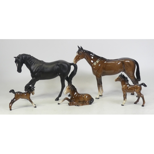 521 - Beswick, Five Horses including Black Beauty, brown gloss foal 997, brown laying foal, brown thorough... 