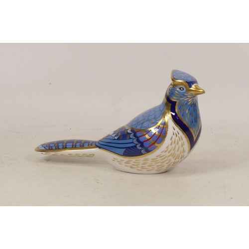 531 - Royal Crown Derby, Blue Jay Paperweight. Gold stopper. Boxed