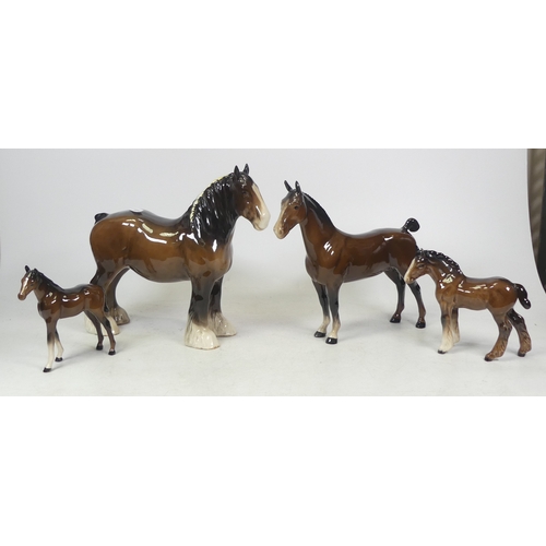 438 - Four Beswick Horses to include Hackney, Shire Horse, Shire Foal and Thoroughbred Foal. (H:21cm) (4)