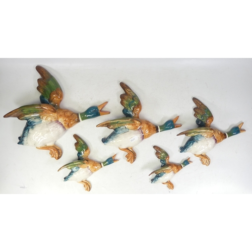 20 - A set of 5 graduating Beswick flying ducks / mallards. Each stamped with reg numbers to reverse. a/f... 