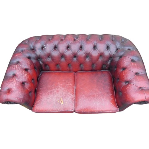 529B - Two Seater Ox-Blood Chesterfield Settee. Distressed Leather. Height: 75cm Width: approx. 160cm Depth... 