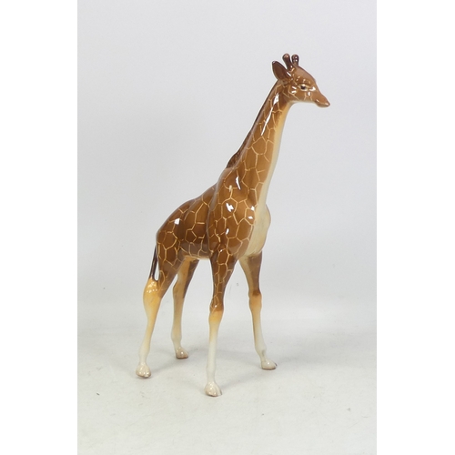 91 - Beswick Large Model of a Giraffe 1631