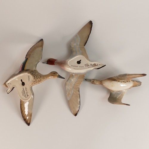 97 - Peter Scott, two Summerbank pottery wall plaques of a Pintail and a female Teal together with a Euro... 