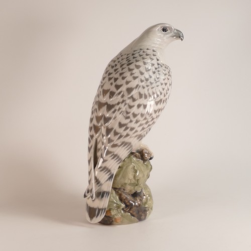 135 - Royal Copenhagen, large model of an Icelandic Falcon 1661 40cm high.