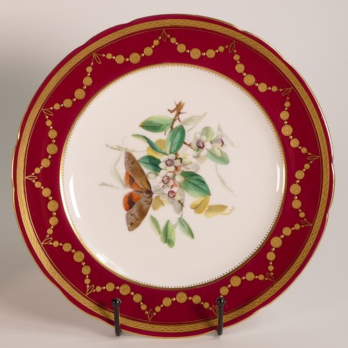 254 - Minton, five hand painted butterfly cabinet plates. Red ground border with heavily gilt decoration. ... 