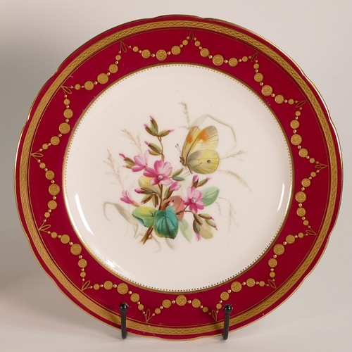 254 - Minton, five hand painted butterfly cabinet plates. Red ground border with heavily gilt decoration. ... 