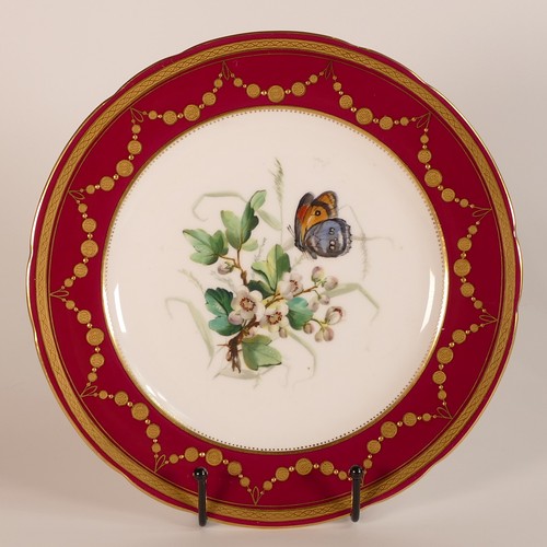 254 - Minton, five hand painted butterfly cabinet plates. Red ground border with heavily gilt decoration. ... 