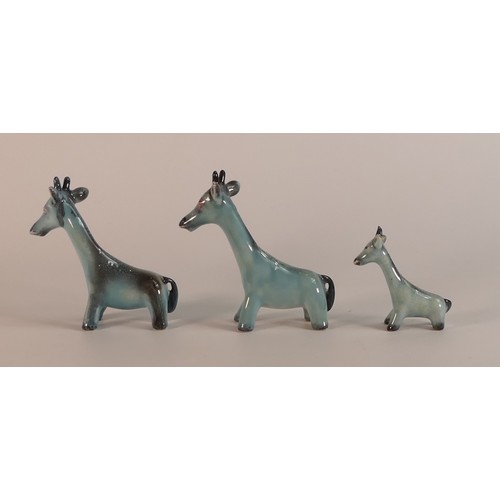 332 - Beswick, three blue gloss models of Giraffe (3)