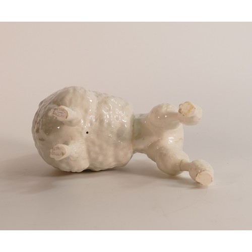 337 - Beswick white Poodle 1294 ''Ebonit Av Barbette''. a/f. (H:15cm)