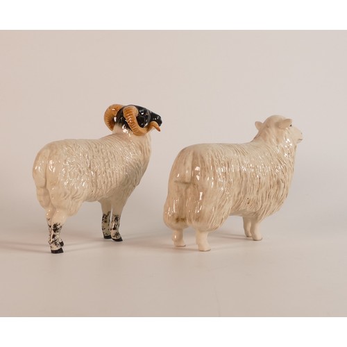 338 - Beswick Boreray Sheep 4124 together with a Cotswold sheep 4122 (H:12cm) (2)