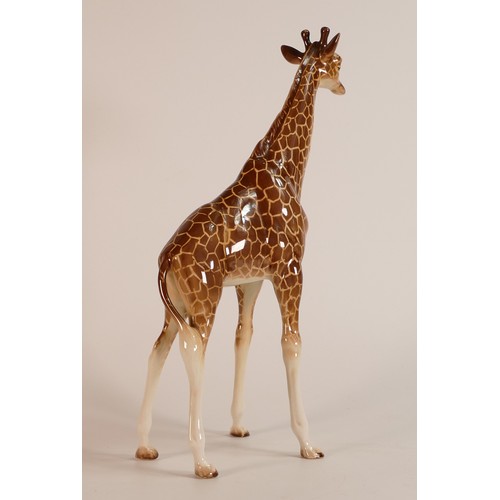 339 - Beswick, large model of a Giraffe 1631