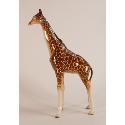 339 - Beswick, large model of a Giraffe 1631