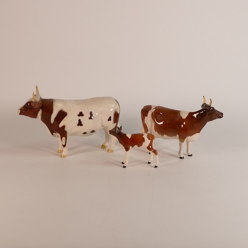 342 - Beswick Ayrshire Bull Ch. 'Whitehall Mandate' no. 1454B, Ayrshire Cow 'Ickham Bessie' no. 1350 and C... 