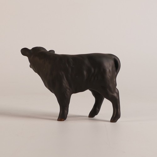 349 - Beswick  Aberdeen Angus calf model 1827A, in matt finish.