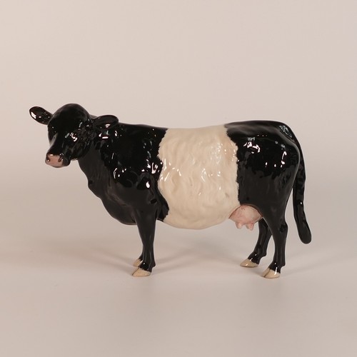 353 - Beswick, Belted Galloway cow model 4113A together with Fresian Cow (2)