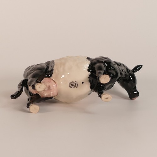 353 - Beswick, Belted Galloway cow model 4113A together with Fresian Cow (2)