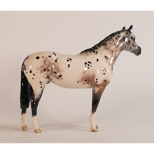 355 - Beswick Appaloosa stallion horse model no.1772.(H:20cm)