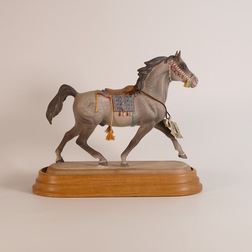 371 - Beswick Connoisseur Grey Arab Stallion No.2269 with saddle & cord detail, presented on a fitted wood... 