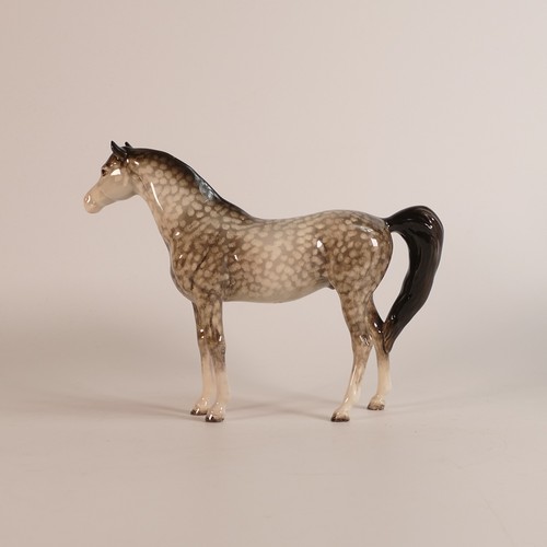 373 - Beswick Rare Arab Xayal horse 1265 in rocking horse grey, r.