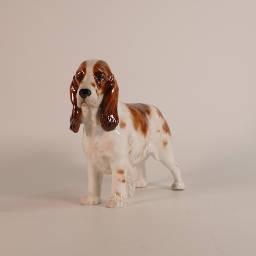 466 - Royal Doulton large model of liver & white Setter HN1002, h.17cm.