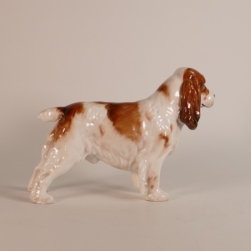 466 - Royal Doulton large model of liver & white Setter HN1002, h.17cm.