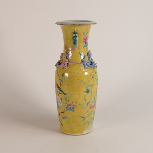 1101 - Qing Dynasty (1644–1912) Famille Jaune baluster vase with lion handles. Painted with birds amongst f... 