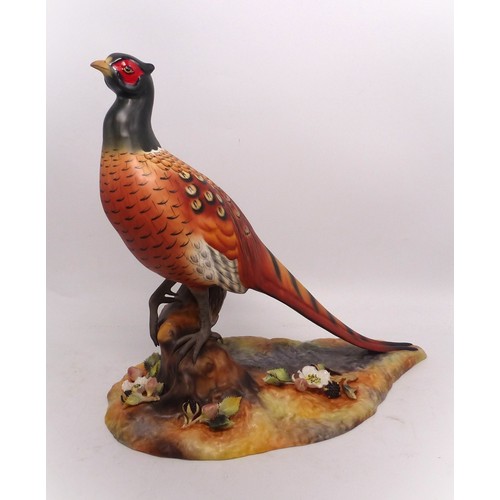 250 - A large Royal Crown Derby hand painted pheasant figure, factory back-stamp to base, 27cm high, boxed... 