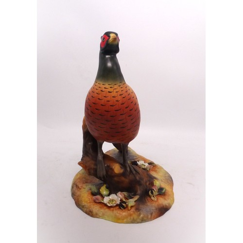 250 - A large Royal Crown Derby hand painted pheasant figure, factory back-stamp to base, 27cm high, boxed... 