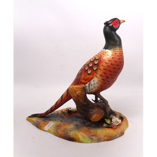 250 - A large Royal Crown Derby hand painted pheasant figure, factory back-stamp to base, 27cm high, boxed... 