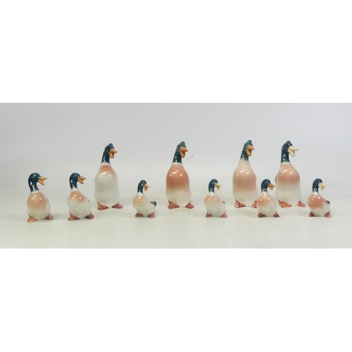 263 - Beswick, Ten small models of ducks. Height of tallest: 10cm