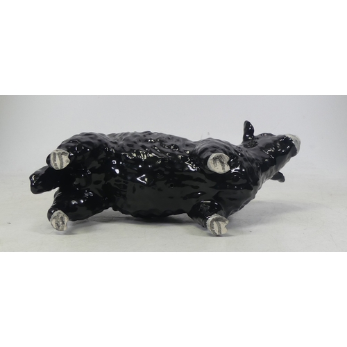 69 - Beswick, Galloway Bull in Black Gloss.