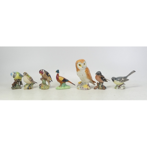 300 - Beswick Birds to include Barn Owl 2026, 10cm tall, pheasant 7cm Tall, grey wagtail 1041 (chipped bea... 