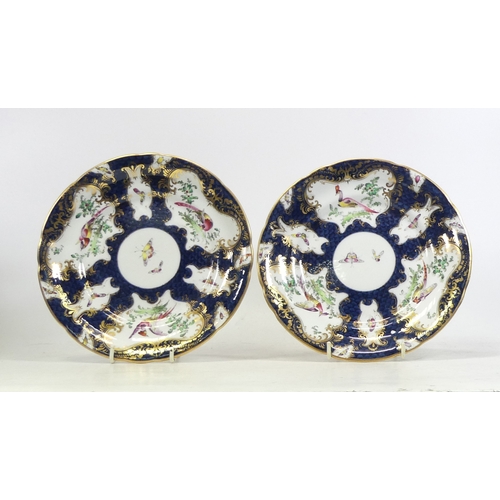 293 - Grainger & Co. Worcester, Pair of Blue Scaled Ground Plates with gilt rococo cartouche and insect pa... 