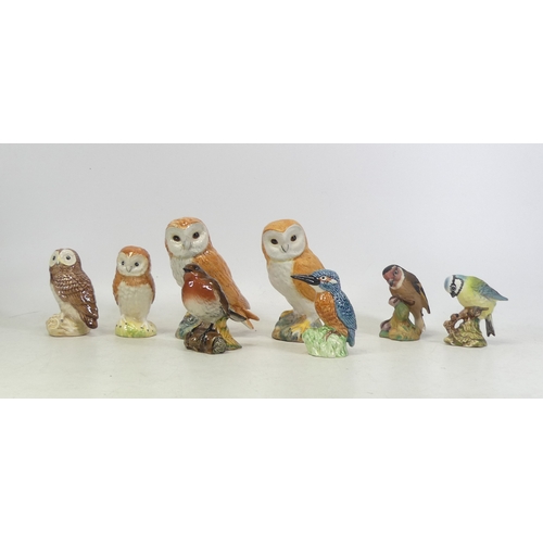 305 - Beswick, Eight Birds including four owls together with Robin 980, Blue Tit 992, Kingfisher and Goldf... 