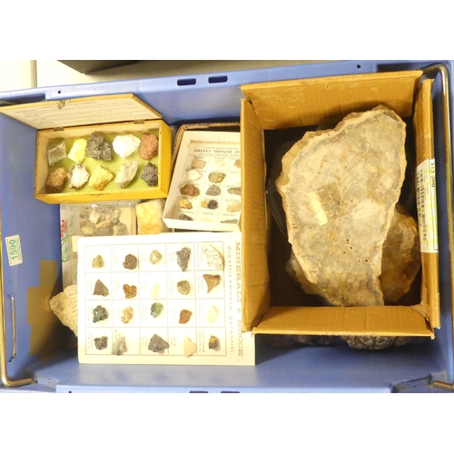 302 - A Collection of Mineralogicol and Fossil Fragments and Slabs (1 Tray)